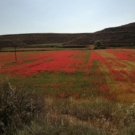 Reposo Tranquilo En Entorno Rural * Cetina