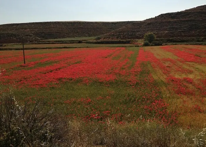 Rural En Entorno Tranquilo * Cetina
